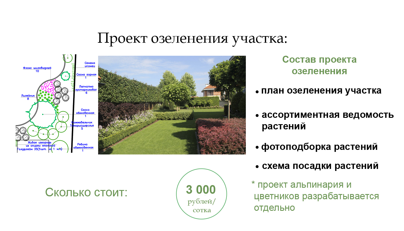 Проект озеленения участка